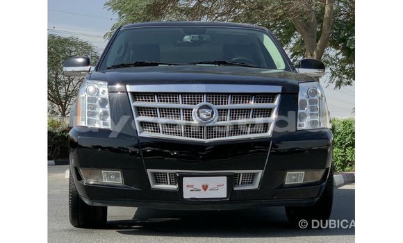 Buy Import Cadillac Escalade Black Car in Import - Dubai in Al Jazirah State Buy Import Cadillac Escalade Black Car in Import - Dubai in Al Jazirah State