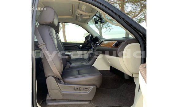 Buy Import Cadillac Escalade Black Car in Import - Dubai in Al Jazirah State Buy Import Cadillac Escalade Black Car in Import - Dubai in Al Jazirah State