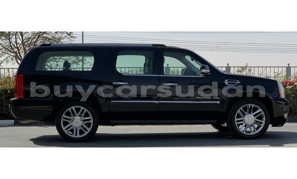 Buy Import Cadillac Escalade Black Car in Import - Dubai in Al Jazirah State Buy Import Cadillac Escalade Black Car in Import - Dubai in Al Jazirah State