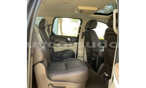 Buy Import Cadillac Escalade Black Car in Import - Dubai in Al Jazirah State Buy Import Cadillac Escalade Black Car in Import - Dubai in Al Jazirah State