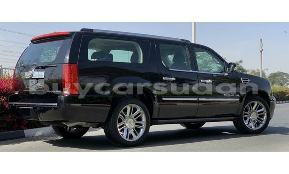 Buy Import Cadillac Escalade Black Car in Import - Dubai in Al Jazirah State Buy Import Cadillac Escalade Black Car in Import - Dubai in Al Jazirah State