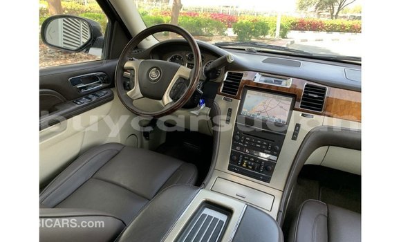 Buy Import Cadillac Escalade Black Car in Import - Dubai in Al Jazirah State Buy Import Cadillac Escalade Black Car in Import - Dubai in Al Jazirah State