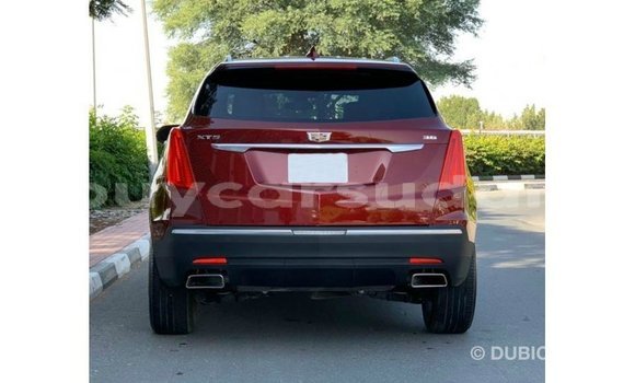 Buy Import Cadillac XT5 Red Car in Import - Dubai in Al Jazirah State Buy Import Cadillac XT5 Red Car in Import - Dubai in Al Jazirah State