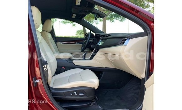 Buy Import Cadillac XT5 Red Car in Import - Dubai in Al Jazirah State Buy Import Cadillac XT5 Red Car in Import - Dubai in Al Jazirah State