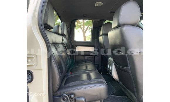 Buy Import Ford Club Wagon Beige Car in Import - Dubai in Al Jazirah State Buy Import Ford Club Wagon Beige Car in Import - Dubai in Al Jazirah State