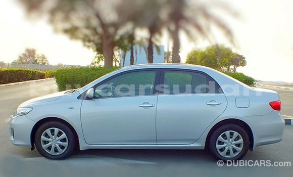 Buy Import Toyota Corolla Other Car in Import - Dubai in Al Jazirah State Buy Import Toyota Corolla Other Car in Import - Dubai in Al Jazirah State