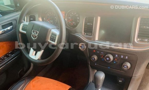 Buy Import Dodge Charger Other Car in Import - Dubai in Al Jazirah State Buy Import Dodge Charger Other Car in Import - Dubai in Al Jazirah State