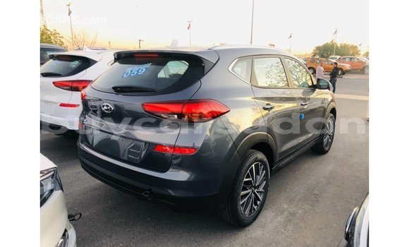 Buy Import Hyundai Tucson Other Car in Import - Dubai in Al Jazirah State Buy Import Hyundai Tucson Other Car in Import - Dubai in Al Jazirah State