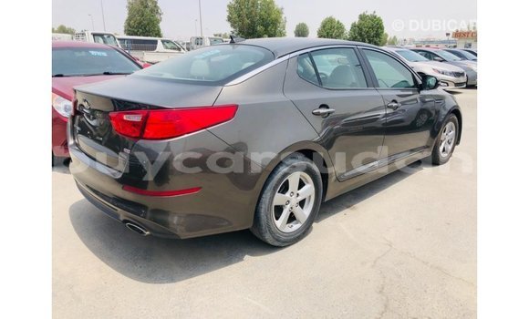Buy Import Kia Optima Brown Car in Import - Dubai in Al Jazirah State Buy Import Kia Optima Brown Car in Import - Dubai in Al Jazirah State