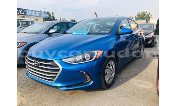 Buy Import Hyundai Elantra Blue Car in Import - Dubai in Al Jazirah State
