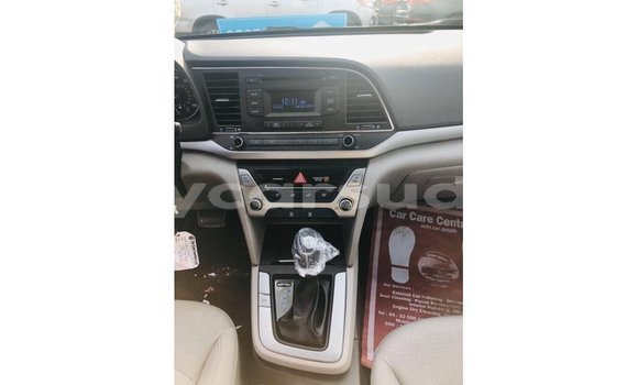 Buy Import Hyundai Elantra Blue Car in Import - Dubai in Al Jazirah State Buy Import Hyundai Elantra Blue Car in Import - Dubai in Al Jazirah State