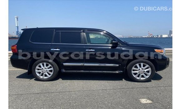Buy Import Toyota Land Cruiser Black Car in Import - Dubai in Al Jazirah State Buy Import Toyota Land Cruiser Black Car in Import - Dubai in Al Jazirah State