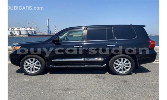 Buy Import Toyota Land Cruiser Black Car in Import - Dubai in Al Jazirah State Buy Import Toyota Land Cruiser Black Car in Import - Dubai in Al Jazirah State