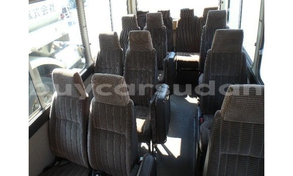 Buy Import Toyota Coaster White Car in Import - Dubai in Al Jazirah State Buy Import Toyota Coaster White Car in Import - Dubai in Al Jazirah State