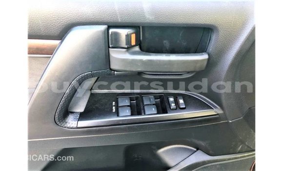 Buy Import Toyota Land Cruiser Other Car in Import - Dubai in Al Jazirah State Buy Import Toyota Land Cruiser Other Car in Import - Dubai in Al Jazirah State