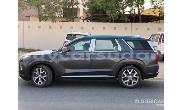 Buy Import Hyundai Accent Other Car in Import - Dubai in Al Jazirah State Buy Import Hyundai Accent Other Car in Import - Dubai in Al Jazirah State