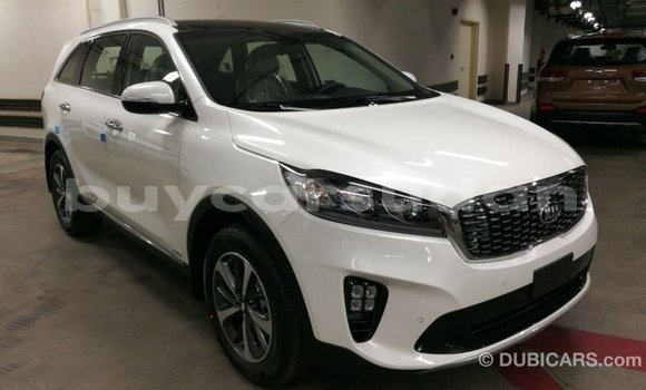 Buy Import Kia Sorento White Car in Import - Dubai in Al Jazirah State Buy Import Kia Sorento White Car in Import - Dubai in Al Jazirah State