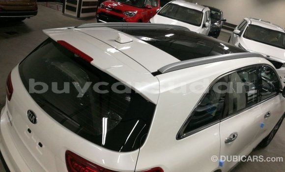 Buy Import Kia Sorento White Car in Import - Dubai in Al Jazirah State Buy Import Kia Sorento White Car in Import - Dubai in Al Jazirah State