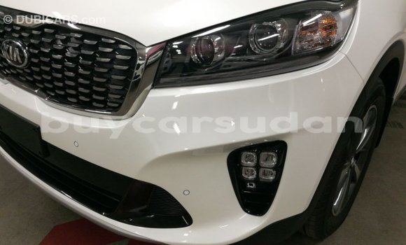 Buy Import Kia Sorento White Car in Import - Dubai in Al Jazirah State Buy Import Kia Sorento White Car in Import - Dubai in Al Jazirah State
