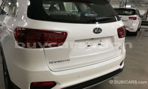 Buy Import Kia Sorento White Car in Import - Dubai in Al Jazirah State Buy Import Kia Sorento White Car in Import - Dubai in Al Jazirah State