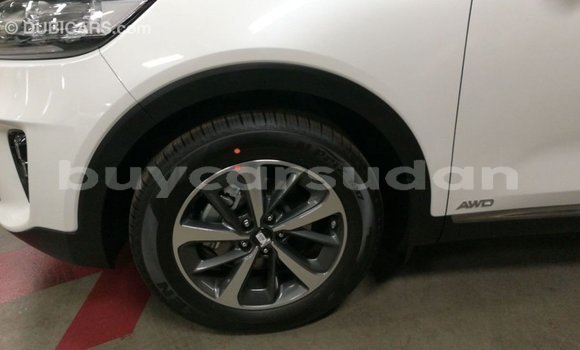 Buy Import Kia Sorento White Car in Import - Dubai in Al Jazirah State Buy Import Kia Sorento White Car in Import - Dubai in Al Jazirah State