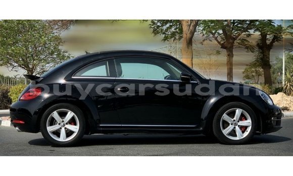 Buy Import Volkswagen Beetle Black Car in Import - Dubai in Al Jazirah State Buy Import Volkswagen Beetle Black Car in Import - Dubai in Al Jazirah State