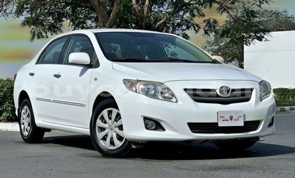 Buy Import Toyota Corolla White Car in Import - Dubai in Al Jazirah State Buy Import Toyota Corolla White Car in Import - Dubai in Al Jazirah State