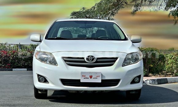 Buy Import Toyota Corolla White Car in Import - Dubai in Al Jazirah State Buy Import Toyota Corolla White Car in Import - Dubai in Al Jazirah State