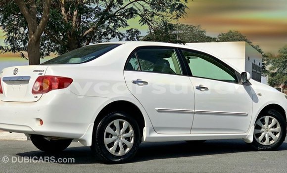 Buy Import Toyota Corolla White Car in Import - Dubai in Al Jazirah State Buy Import Toyota Corolla White Car in Import - Dubai in Al Jazirah State
