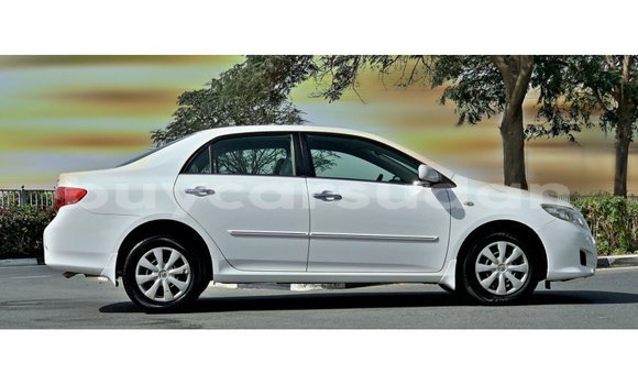 Buy Import Toyota Corolla White Car in Import - Dubai in Al Jazirah State Buy Import Toyota Corolla White Car in Import - Dubai in Al Jazirah State