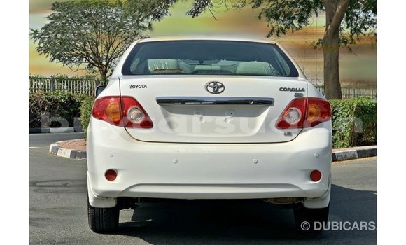 Buy Import Toyota Corolla White Car in Import - Dubai in Al Jazirah State Buy Import Toyota Corolla White Car in Import - Dubai in Al Jazirah State
