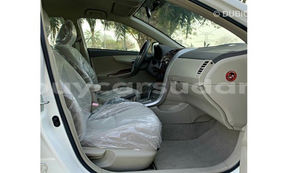 Buy Import Toyota Corolla White Car in Import - Dubai in Al Jazirah State Buy Import Toyota Corolla White Car in Import - Dubai in Al Jazirah State
