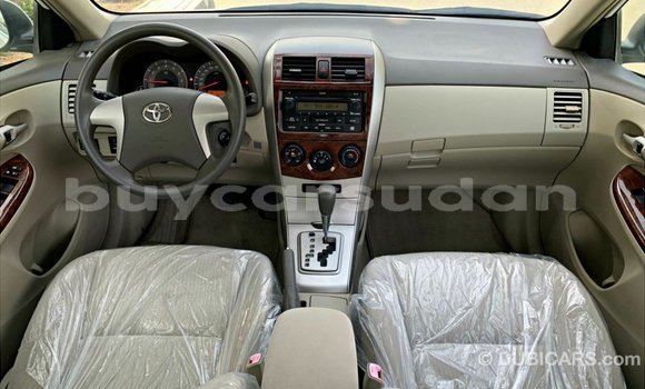 Buy Import Toyota Corolla White Car in Import - Dubai in Al Jazirah State Buy Import Toyota Corolla White Car in Import - Dubai in Al Jazirah State