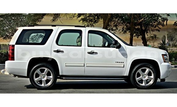 Buy Import Chevrolet Tahoe White Car in Import - Dubai in Al Jazirah State Buy Import Chevrolet Tahoe White Car in Import - Dubai in Al Jazirah State