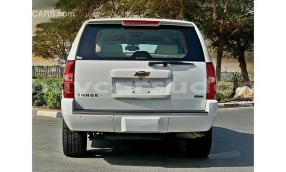 Buy Import Chevrolet Tahoe White Car in Import - Dubai in Al Jazirah State Buy Import Chevrolet Tahoe White Car in Import - Dubai in Al Jazirah State