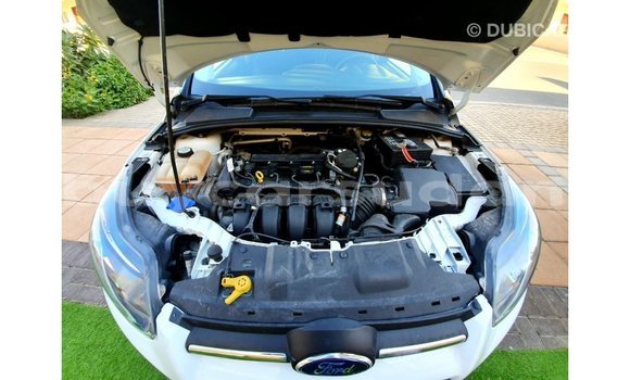 Acheter Import Voiture Ford Focus Blanc à Import - Dubai, État d'Al Jazirah Acheter Import Voiture Ford Focus Blanc à Import - Dubai, État d'Al Jazirah