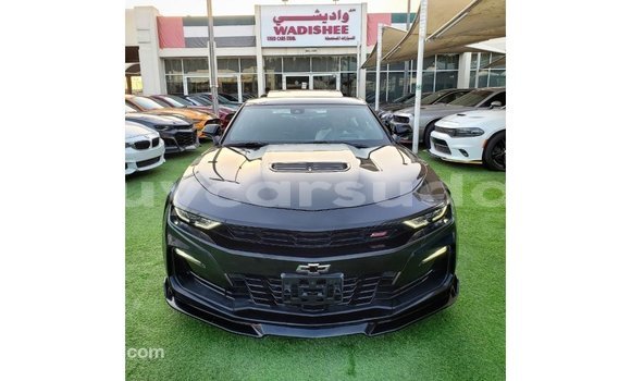 Buy Import Chevrolet Camaro Black Car in Import - Dubai in Al Jazirah State Buy Import Chevrolet Camaro Black Car in Import - Dubai in Al Jazirah State
