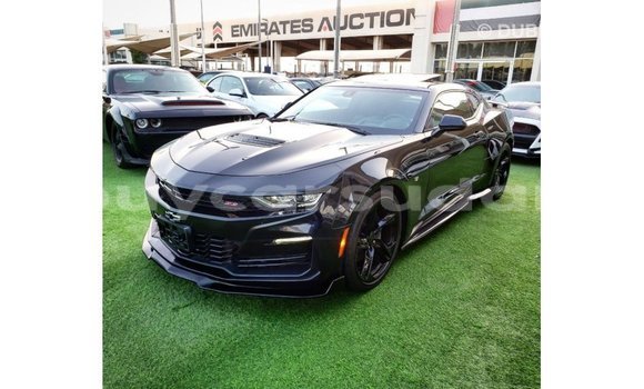 Buy Import Chevrolet Camaro Black Car in Import - Dubai in Al Jazirah State Buy Import Chevrolet Camaro Black Car in Import - Dubai in Al Jazirah State