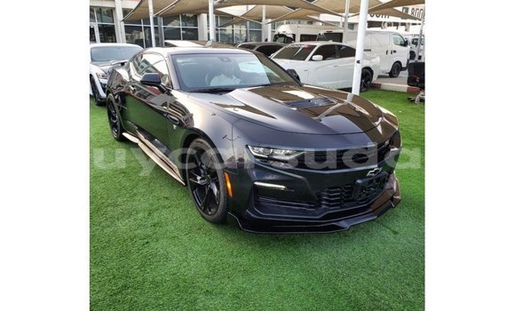 Buy Import Chevrolet Camaro Black Car in Import - Dubai in Al Jazirah State Buy Import Chevrolet Camaro Black Car in Import - Dubai in Al Jazirah State