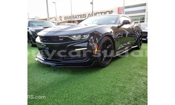 Buy Import Chevrolet Camaro Black Car in Import - Dubai in Al Jazirah State Buy Import Chevrolet Camaro Black Car in Import - Dubai in Al Jazirah State