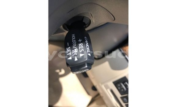 Acheter Import Voiture Toyota Land Cruiser Blanc à Import - Dubai, État d'Al Jazirah Acheter Import Voiture Toyota Land Cruiser Blanc à Import - Dubai, État d'Al Jazirah