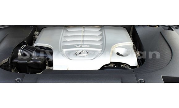 Buy Import Lexus LX White Car in Import - Dubai in Al Jazirah State Buy Import Lexus LX White Car in Import - Dubai in Al Jazirah State