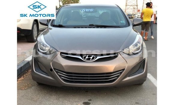 Buy Import Hyundai Elantra Brown Car in Import - Dubai in Al Jazirah State