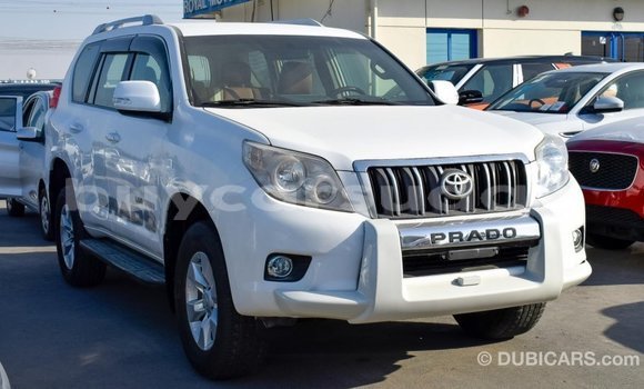 Buy Import Toyota Prado White Car in Import - Dubai in Al Jazirah State Buy Import Toyota Prado White Car in Import - Dubai in Al Jazirah State