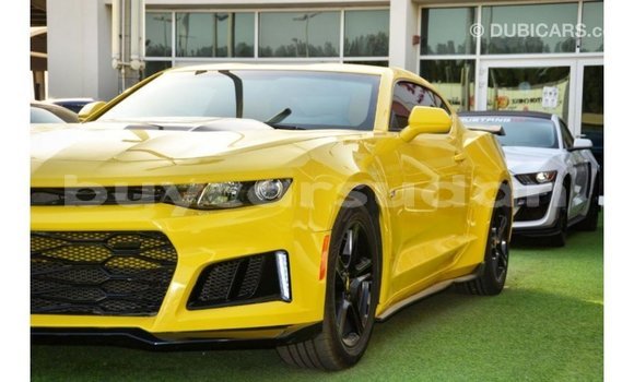 Buy Import Chevrolet Camaro Other Car in Import - Dubai in Al Jazirah State Buy Import Chevrolet Camaro Other Car in Import - Dubai in Al Jazirah State