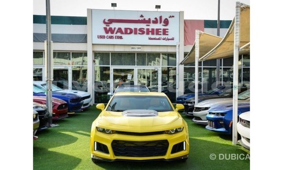 Buy Import Chevrolet Camaro Other Car in Import - Dubai in Al Jazirah State Buy Import Chevrolet Camaro Other Car in Import - Dubai in Al Jazirah State