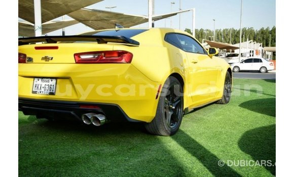 Buy Import Chevrolet Camaro Other Car in Import - Dubai in Al Jazirah State Buy Import Chevrolet Camaro Other Car in Import - Dubai in Al Jazirah State