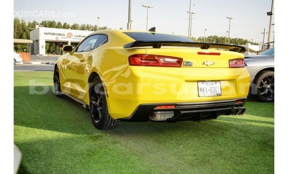 Buy Import Chevrolet Camaro Other Car in Import - Dubai in Al Jazirah State Buy Import Chevrolet Camaro Other Car in Import - Dubai in Al Jazirah State