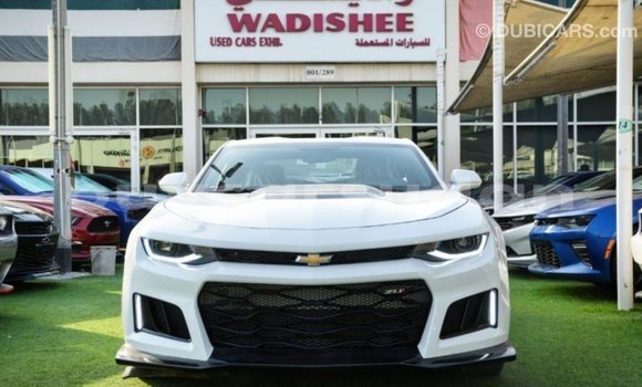 Buy Import Chevrolet Camaro White Car in Import - Dubai in Al Jazirah State Buy Import Chevrolet Camaro White Car in Import - Dubai in Al Jazirah State