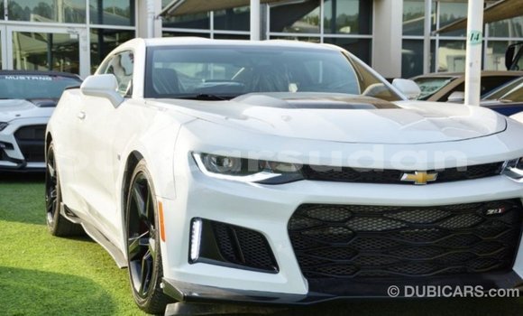 Buy Import Chevrolet Camaro White Car in Import - Dubai in Al Jazirah State Buy Import Chevrolet Camaro White Car in Import - Dubai in Al Jazirah State